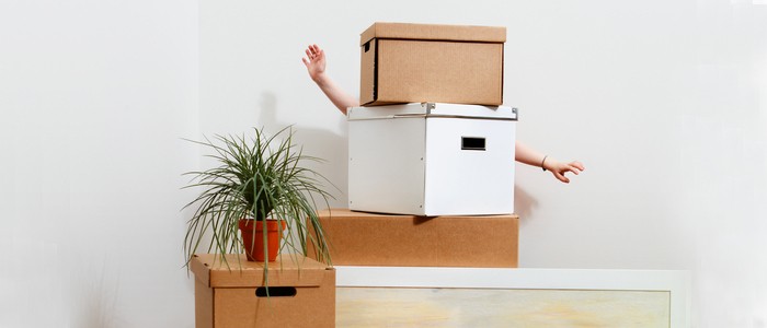 Child Friendly House Moving Boxes & Packaging