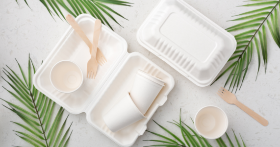 Why Sugarcane Fiber is Sustainable? | Pony Packaging